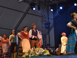 Festival de Folkore en Mula